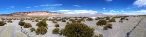 Salar de Tara - Panorâmica