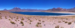 Lagunas Altiplânicas - Panorâmica